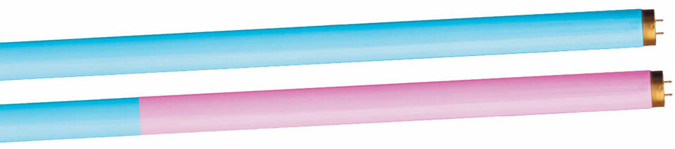 TANNING BED BULBS LAMPS FR71 T12 BI-PIN 100-120W DUAL TONE LAMP KIT