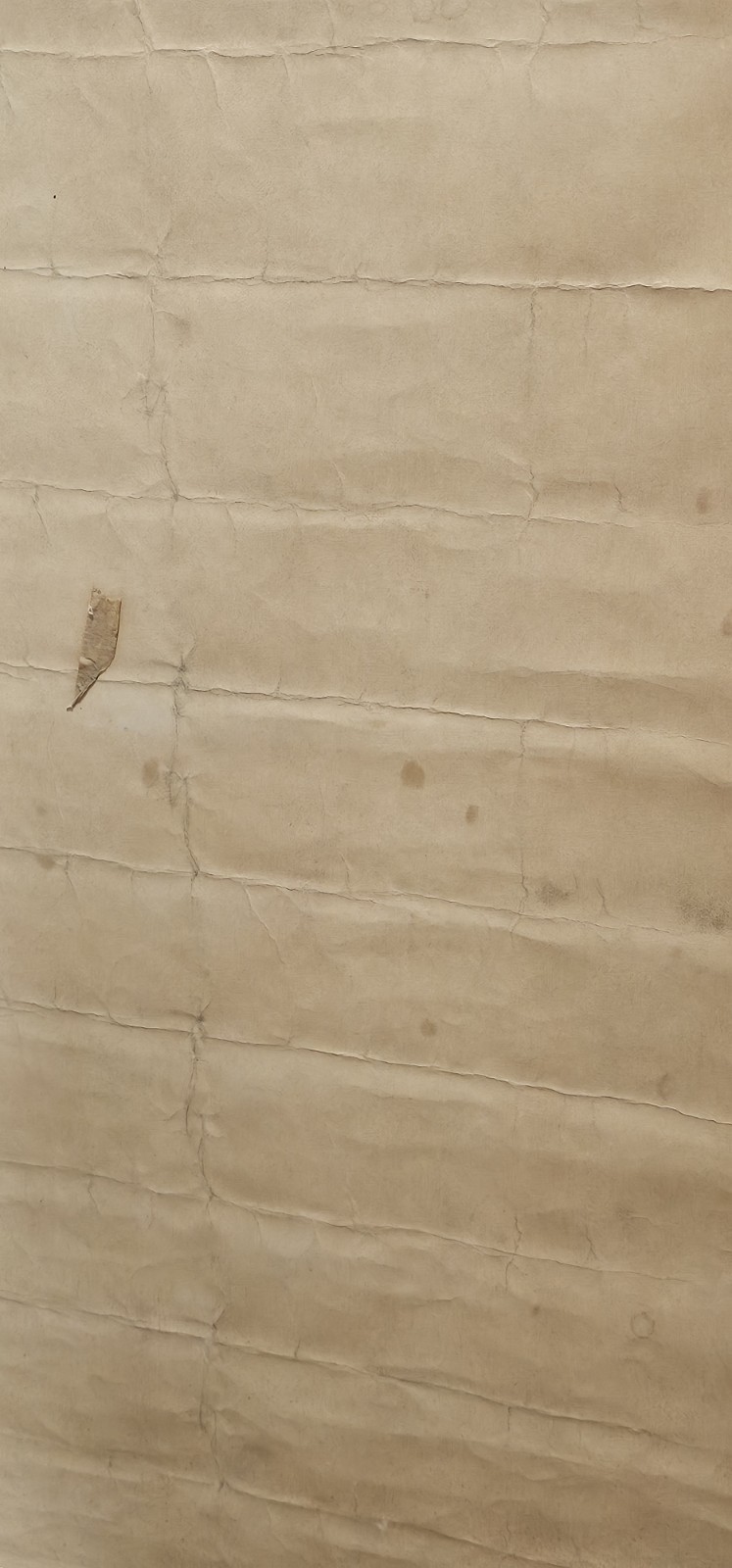 Vintage Janis Joplin Black & White Poster Altered Hand Painted Blacklight Paint