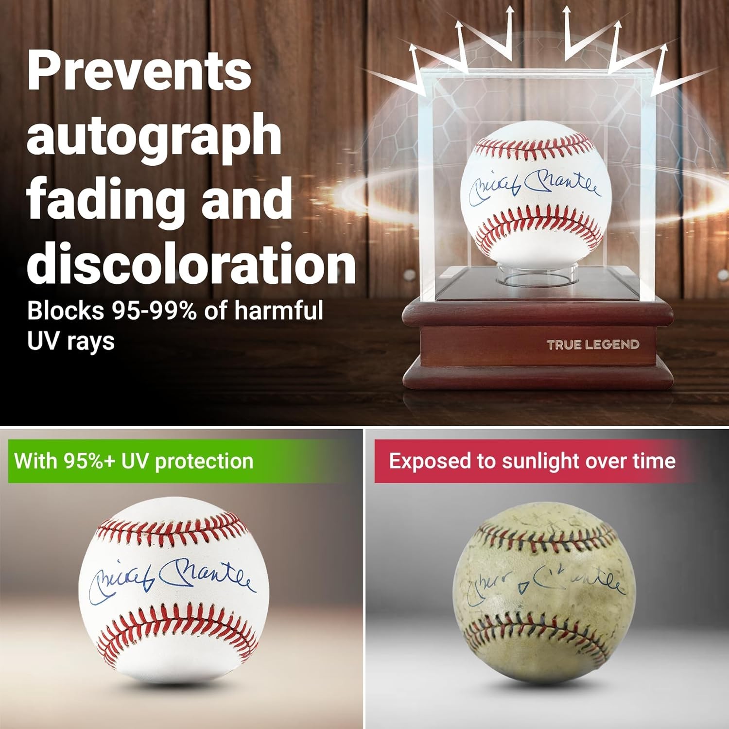 True Legend Baseball Display Case, 95%+ UV Protection, Premium Baseball Holder