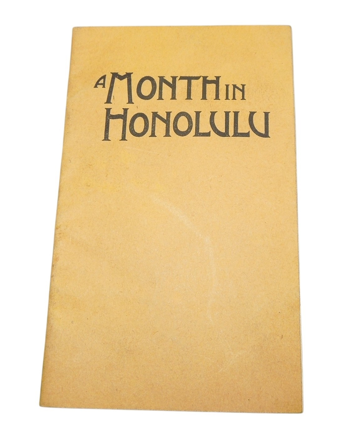 Original WWI 1919 A Month in Honolulu HAWAII Diary Book Q6