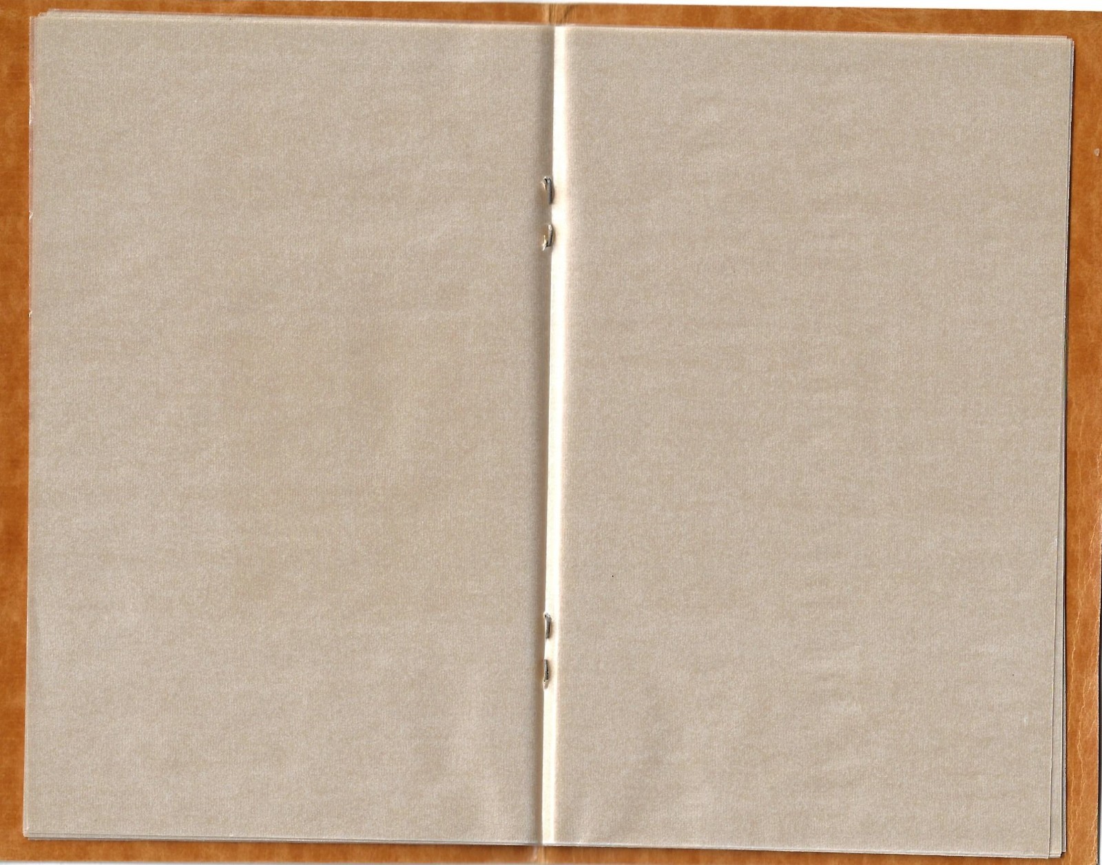 Saturn Mint Blocks & Plate Blocks - Pocket File