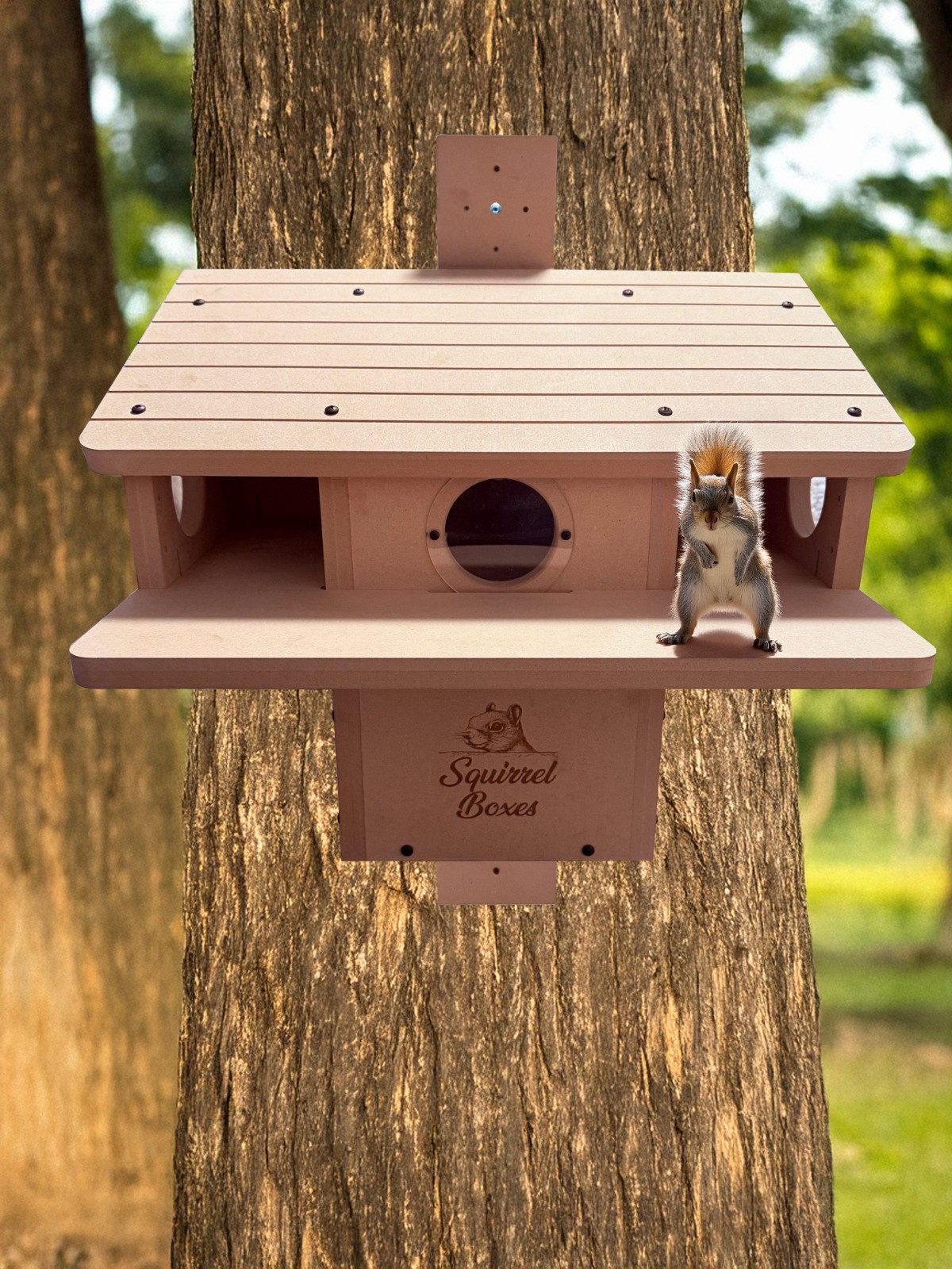 Squirrel Nesting Box