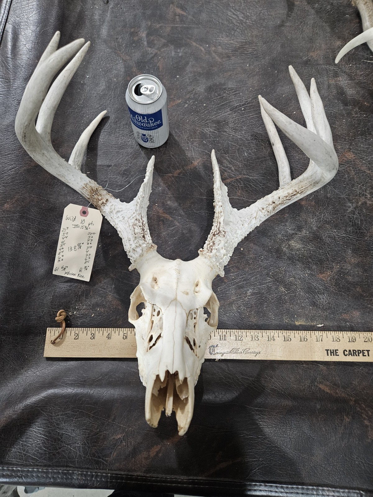 Wild 10 Point Whitetail Deer Antler Rack Horn European Skull Mount Man Cave 138"