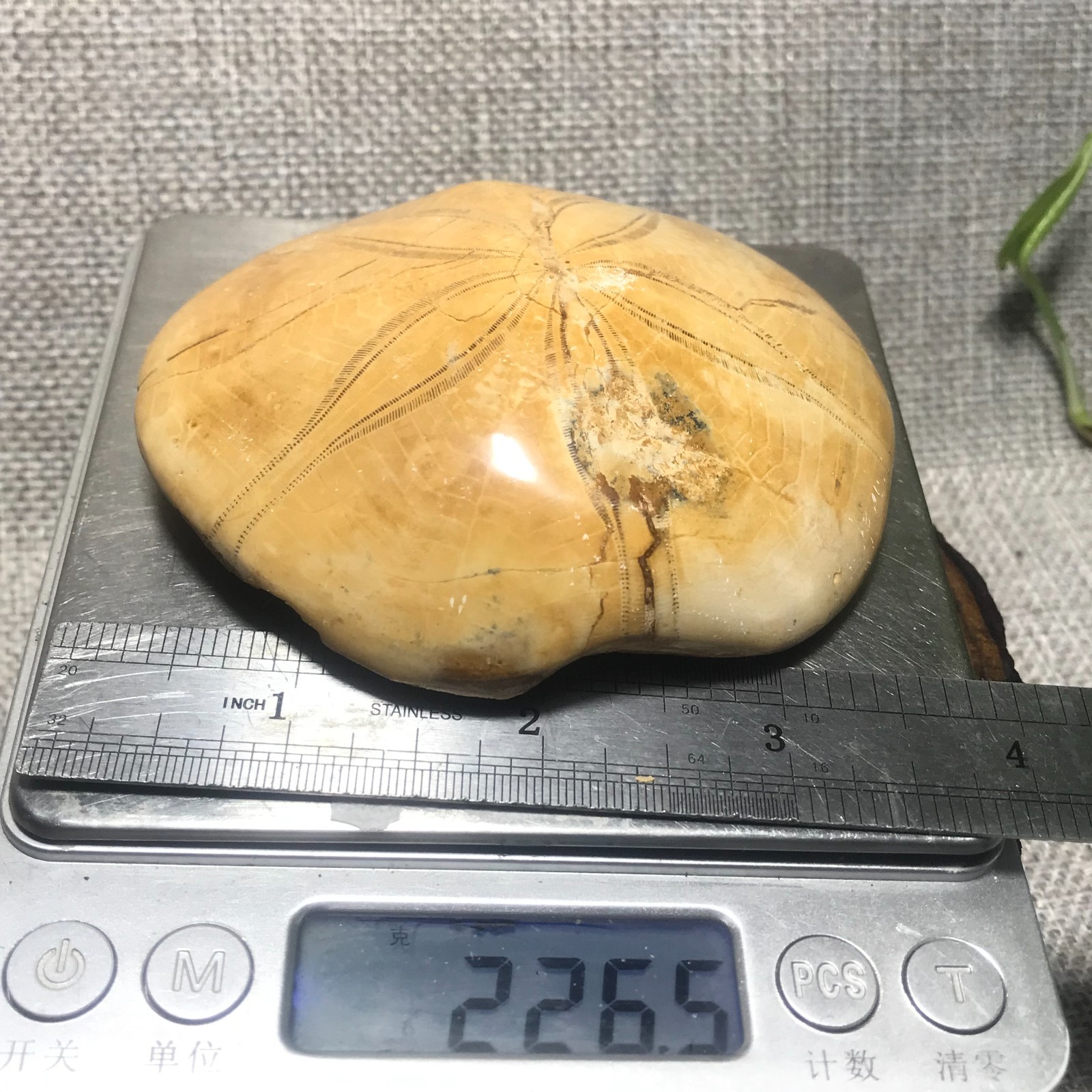 226g Starfish Crystal Specimen 01