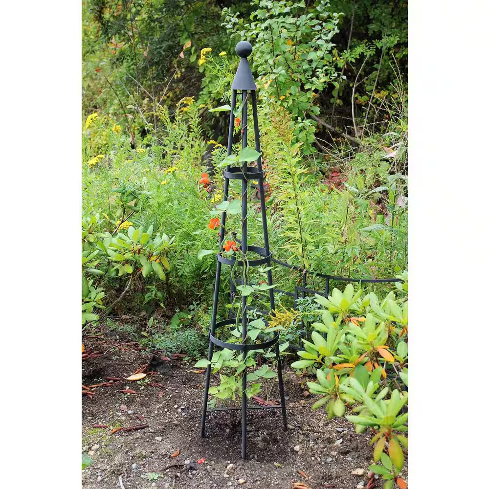 Obelisk Garden Trellis, 60 In. Tall, Graphite Powder Coat Finish