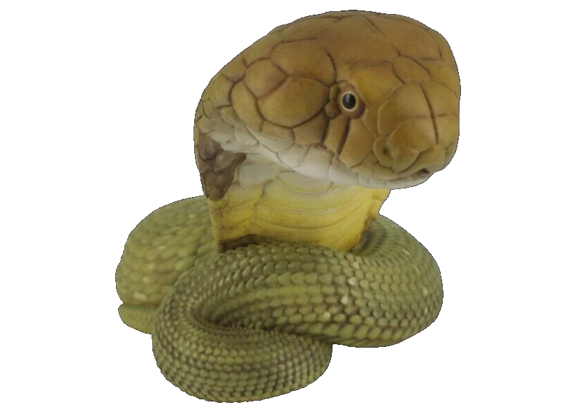 【In-Stock】 Animal Heavenly Body Ophiophagus King Cobra Collectible Snake Statue