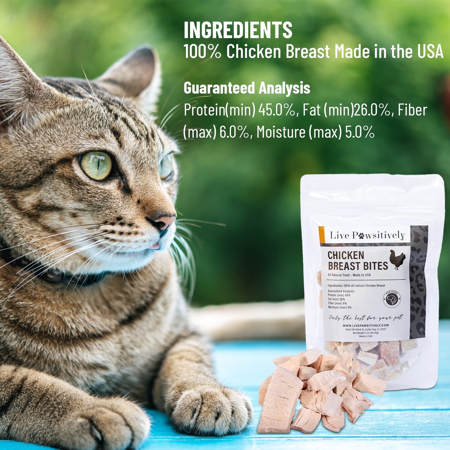 Freeze Dried Chicken Breast Dog/ cat Treat 3 bags, each bag 4oz, Made in USA