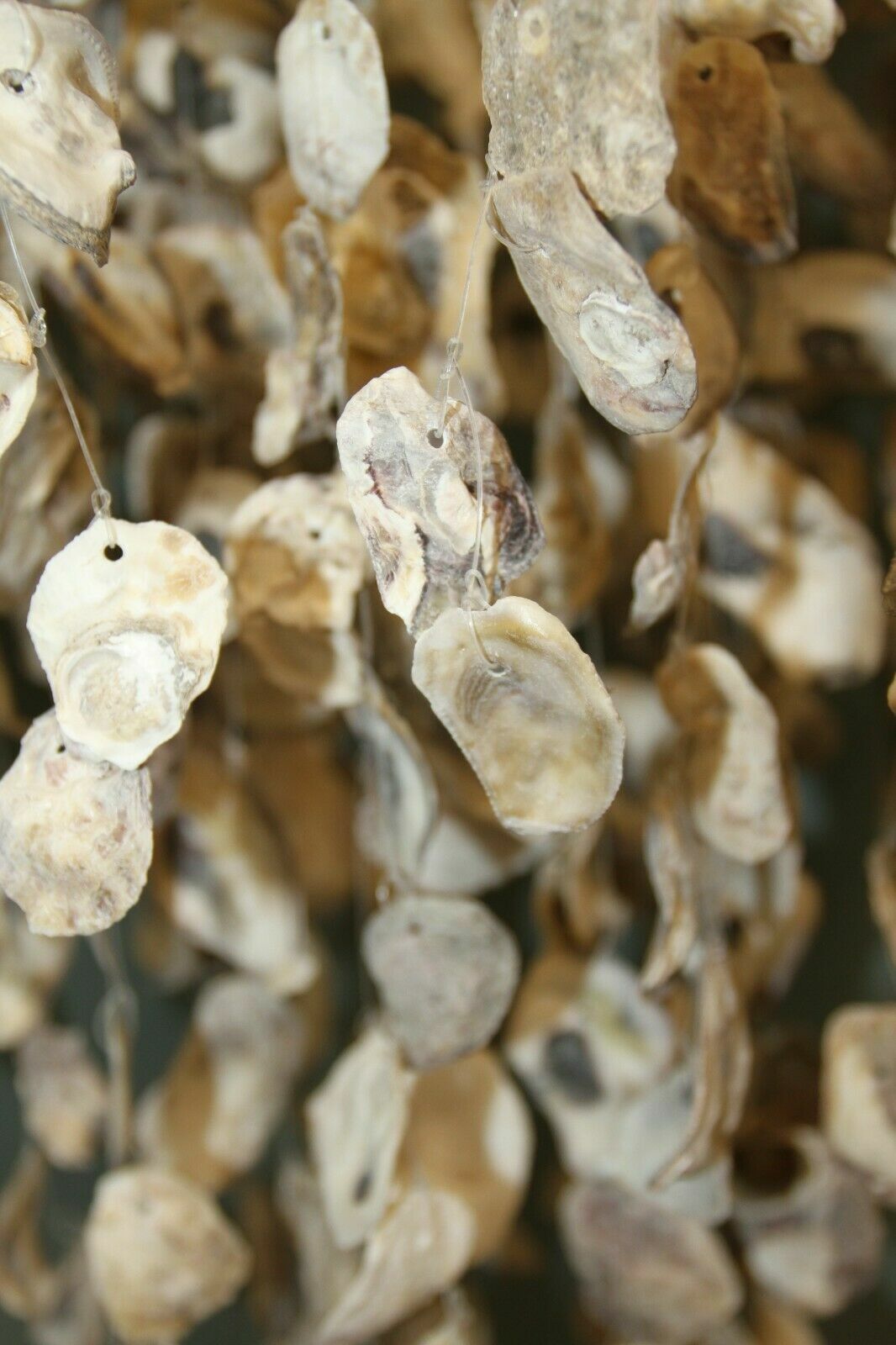 Oyster Bar Decor Oyster Shell Mobile Chandelier Hand-Crafted, Oyster Expo