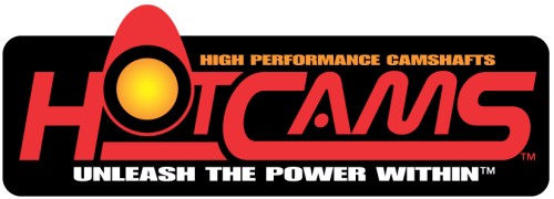 Hot Cams Cam Chain HONDA TRX 250X FOURTRAX TRX 300EX TRX 300FW 4X4 HC82RH2010110