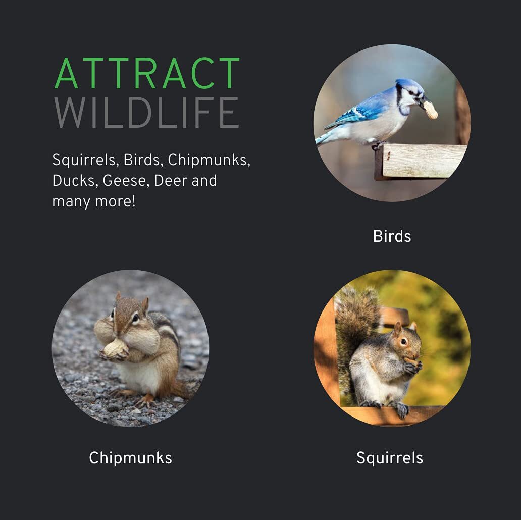 Wakefield Virginia Peanuts Extra Large for Animals, 25 LBS