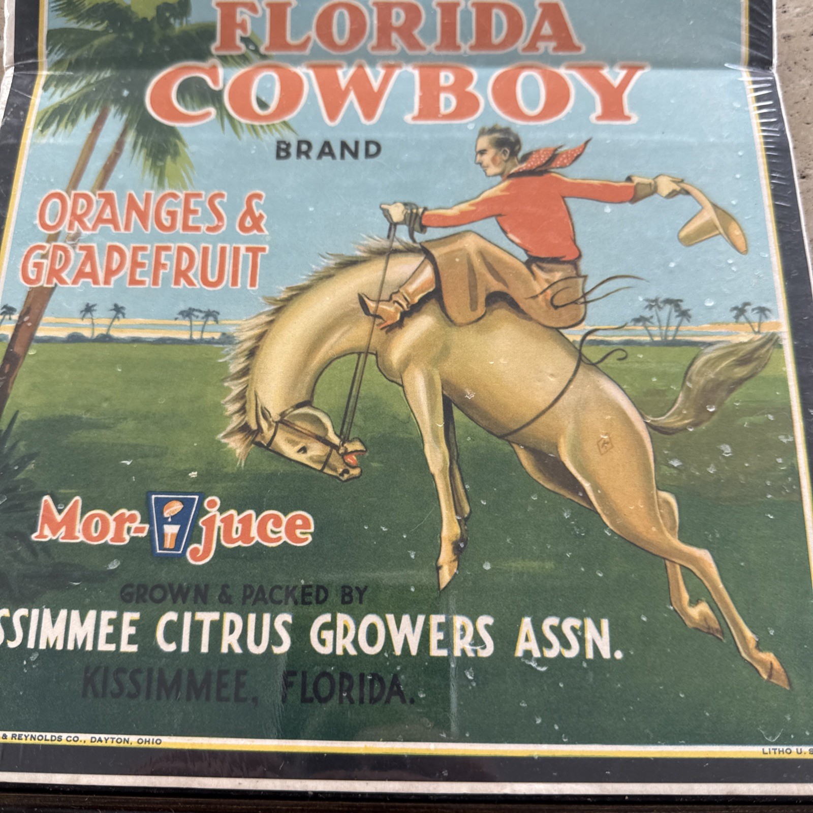 Original Vintage Florida Cowboy Citrus Crate Label Kissimmee Growers Horse Art