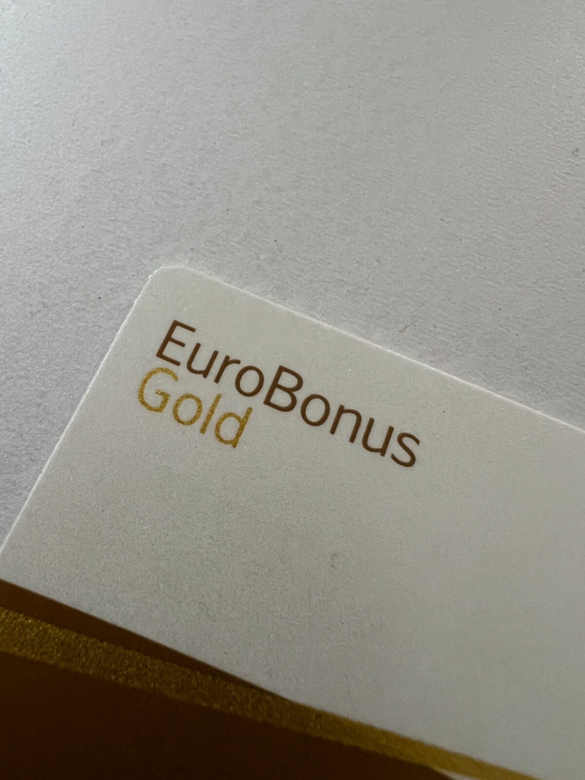 New 2024 - Scandinavian Airlines (SAS) - SkyTeam Elite Plus - Luggage Bag Tag