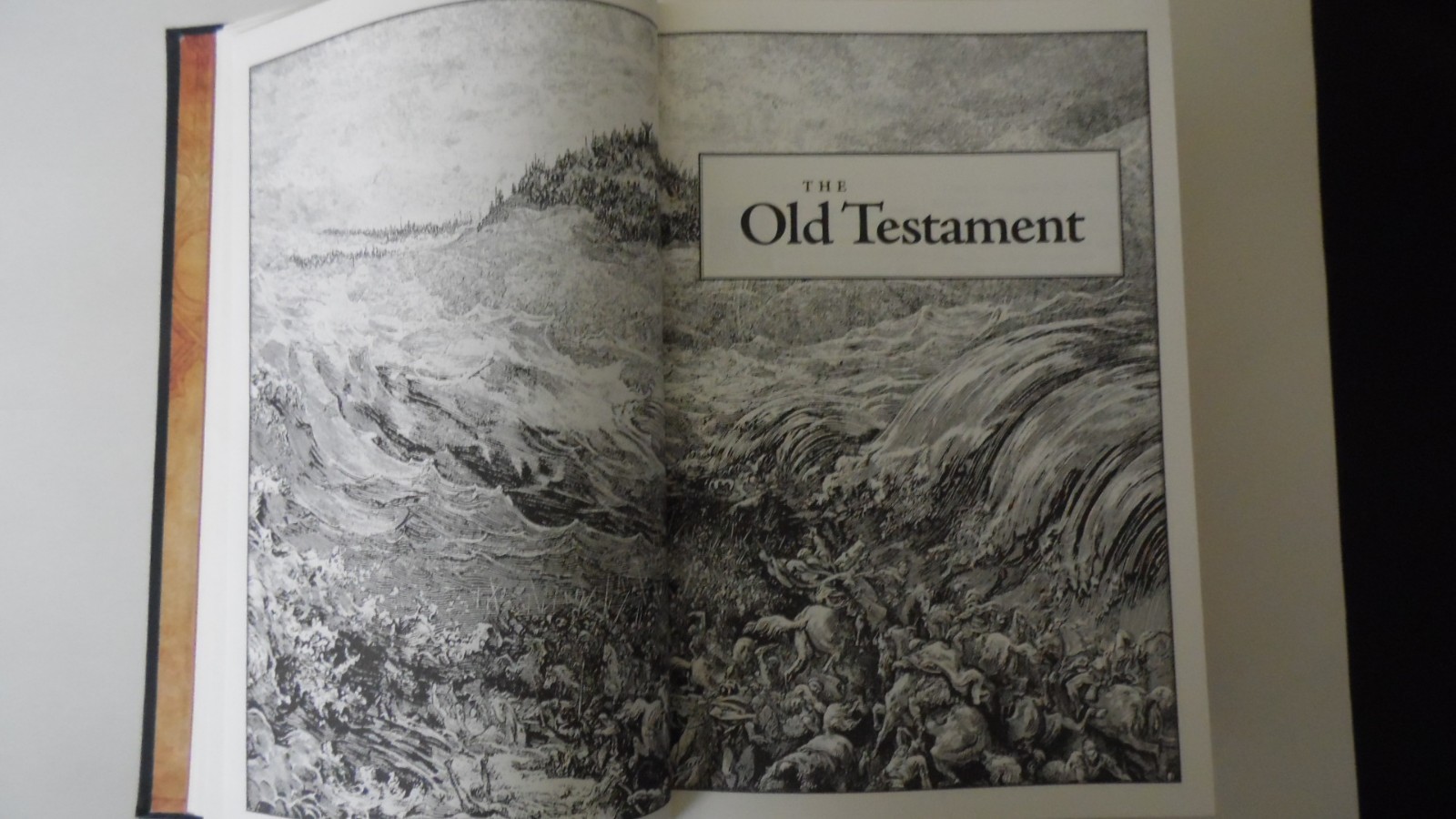 The Holy Bible King James Version Gustave Dore Illustrated Leather Bound NEW