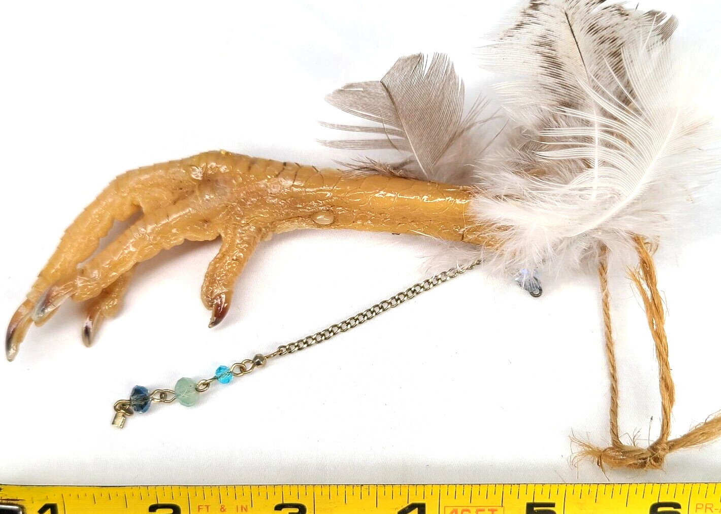 Good Luck Charm Lucky Charm Chicken Foot Voodoo Protection Occult Items Oddity
