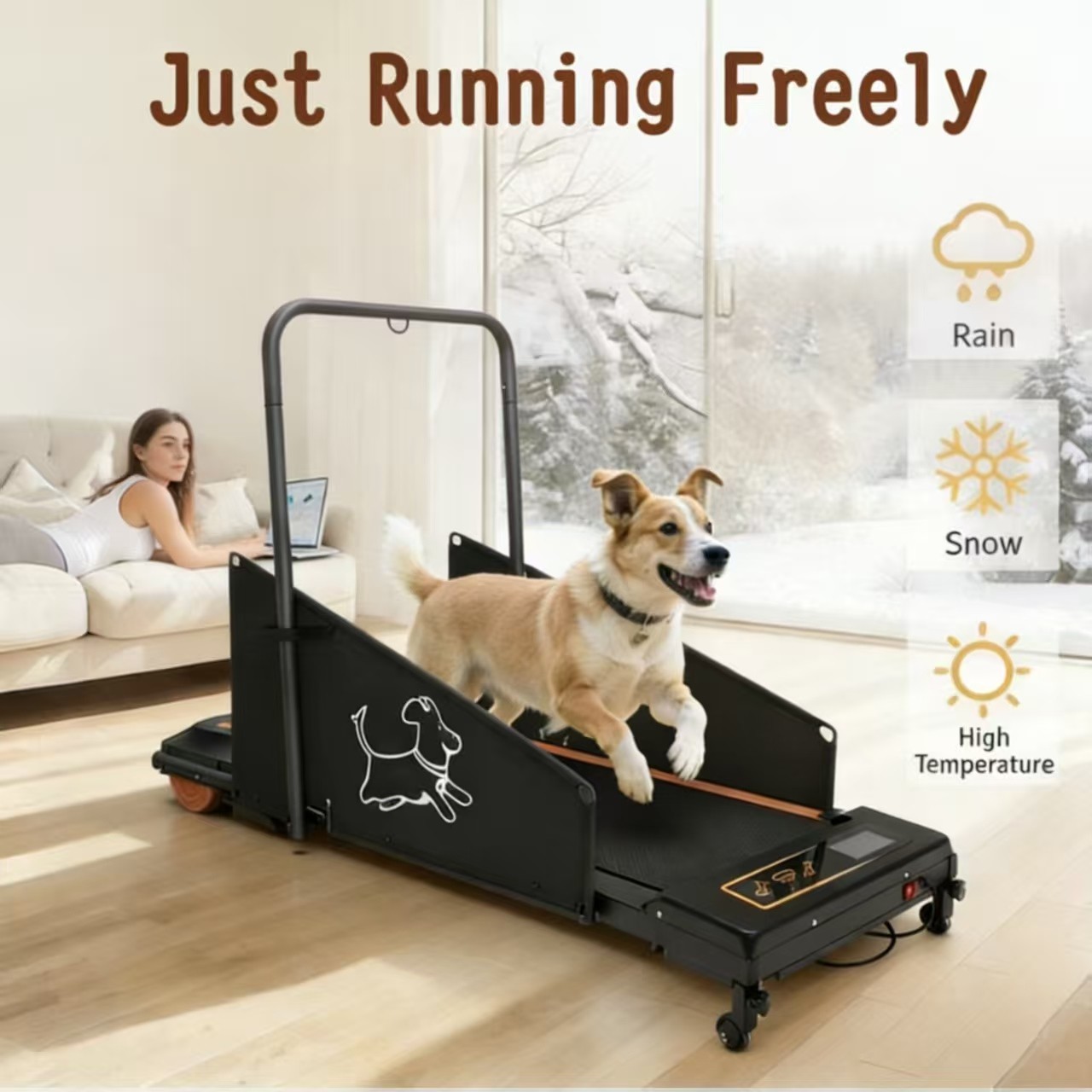 Dog Pacer Treadmill Electric Remote Control Healthy Fitness Run Walk Medium Dogs