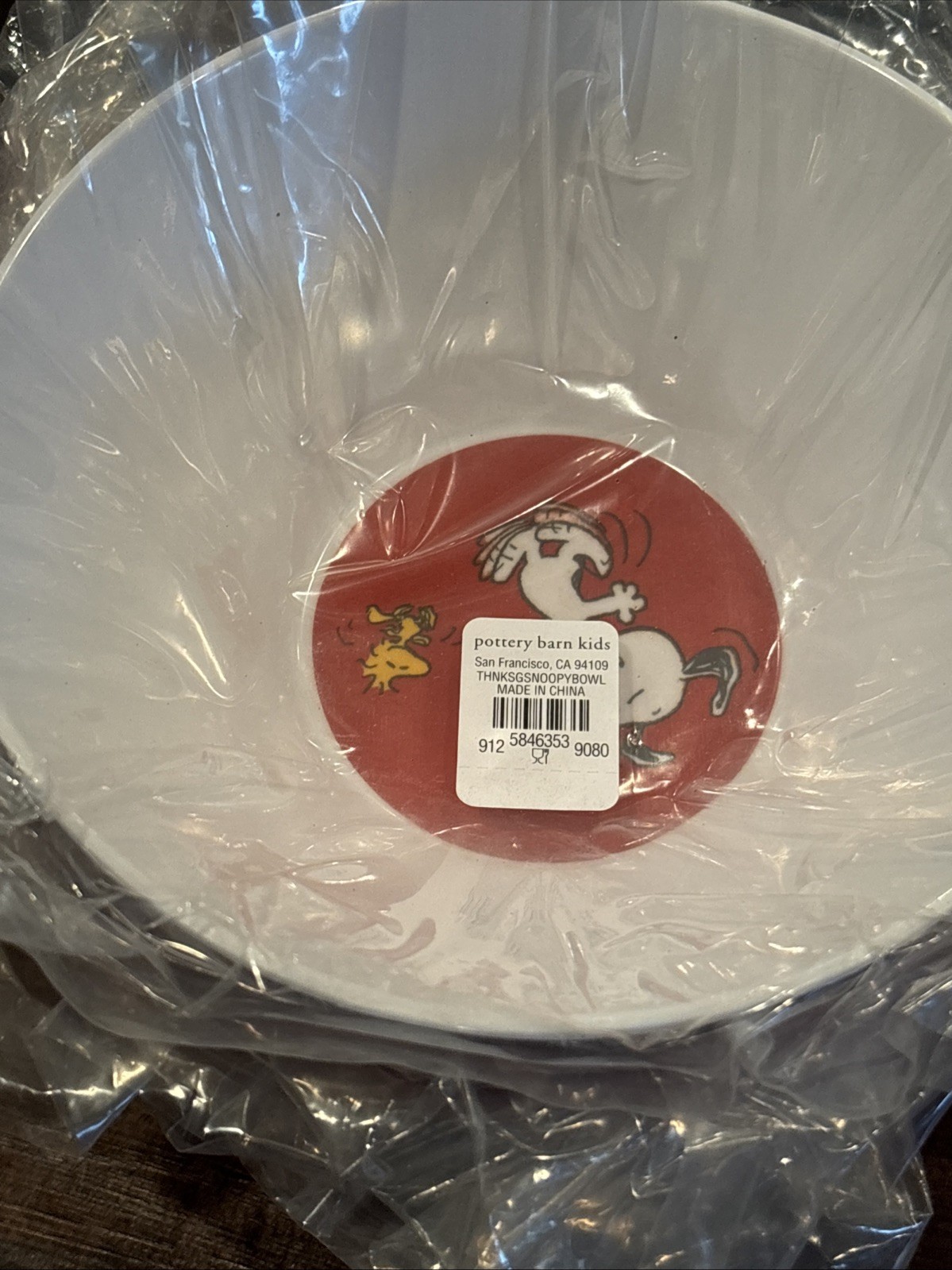 Pottery Barn Kids Thanksgiving Snoopy & Woodstock Bowl NEW Melamine Fall Colors