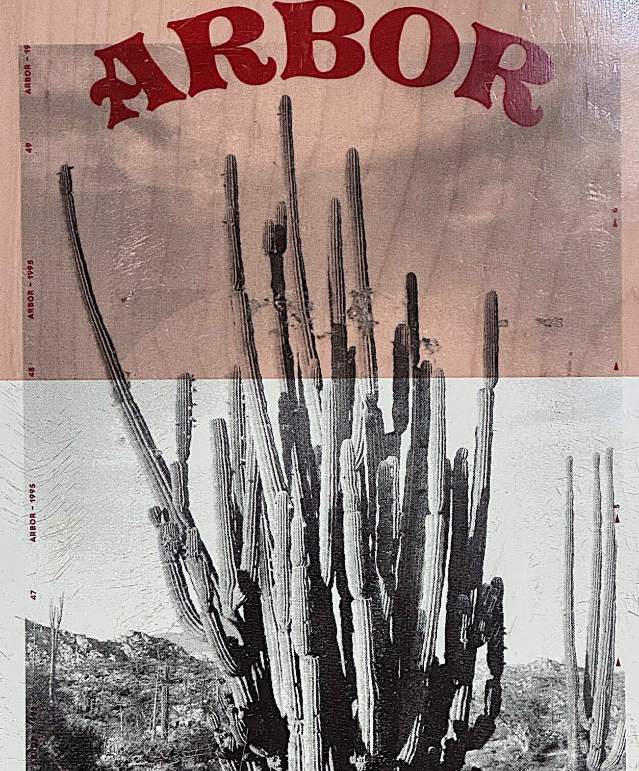 Photo Axis 37” ARBOR 2021 Performance Longboard Deck - 8.5" Photo Collection