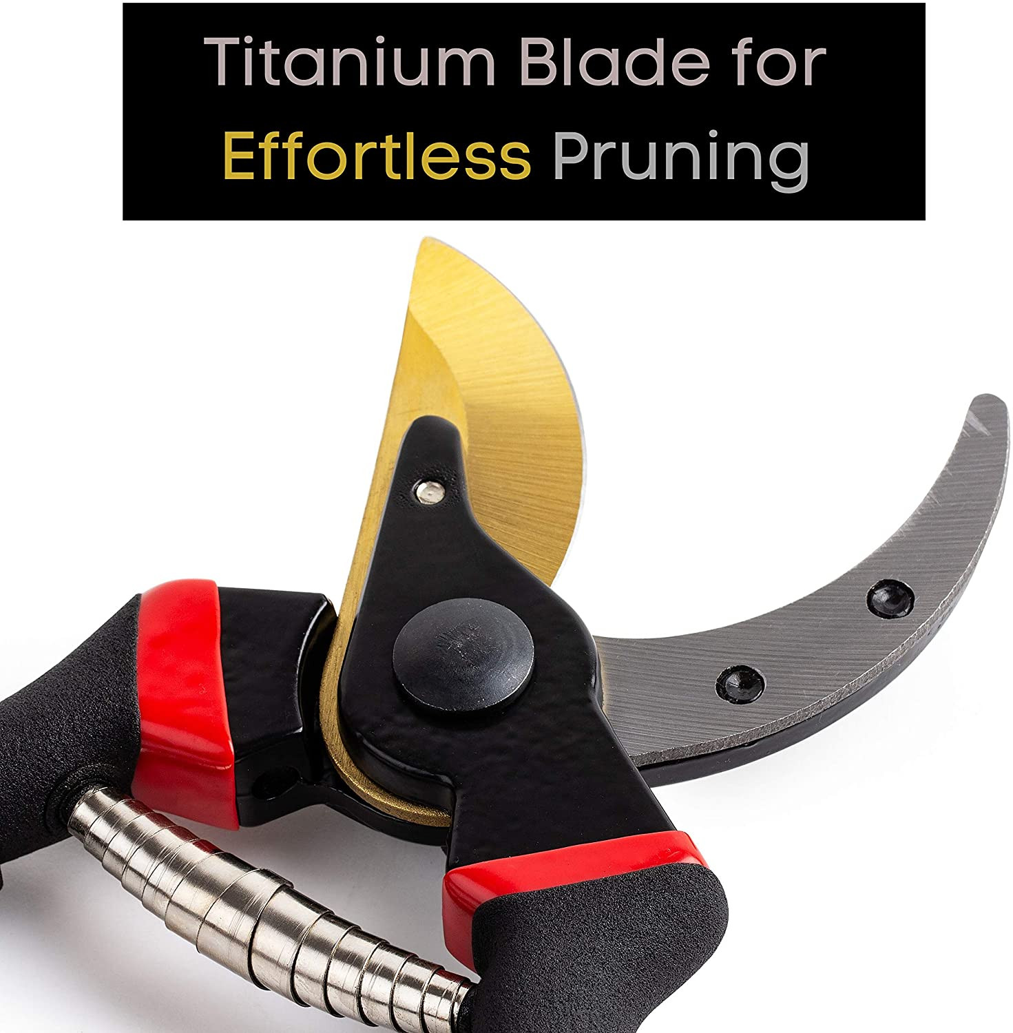 - Pruning Shears Garden Shears 8 Professional Titanium Blade Garden