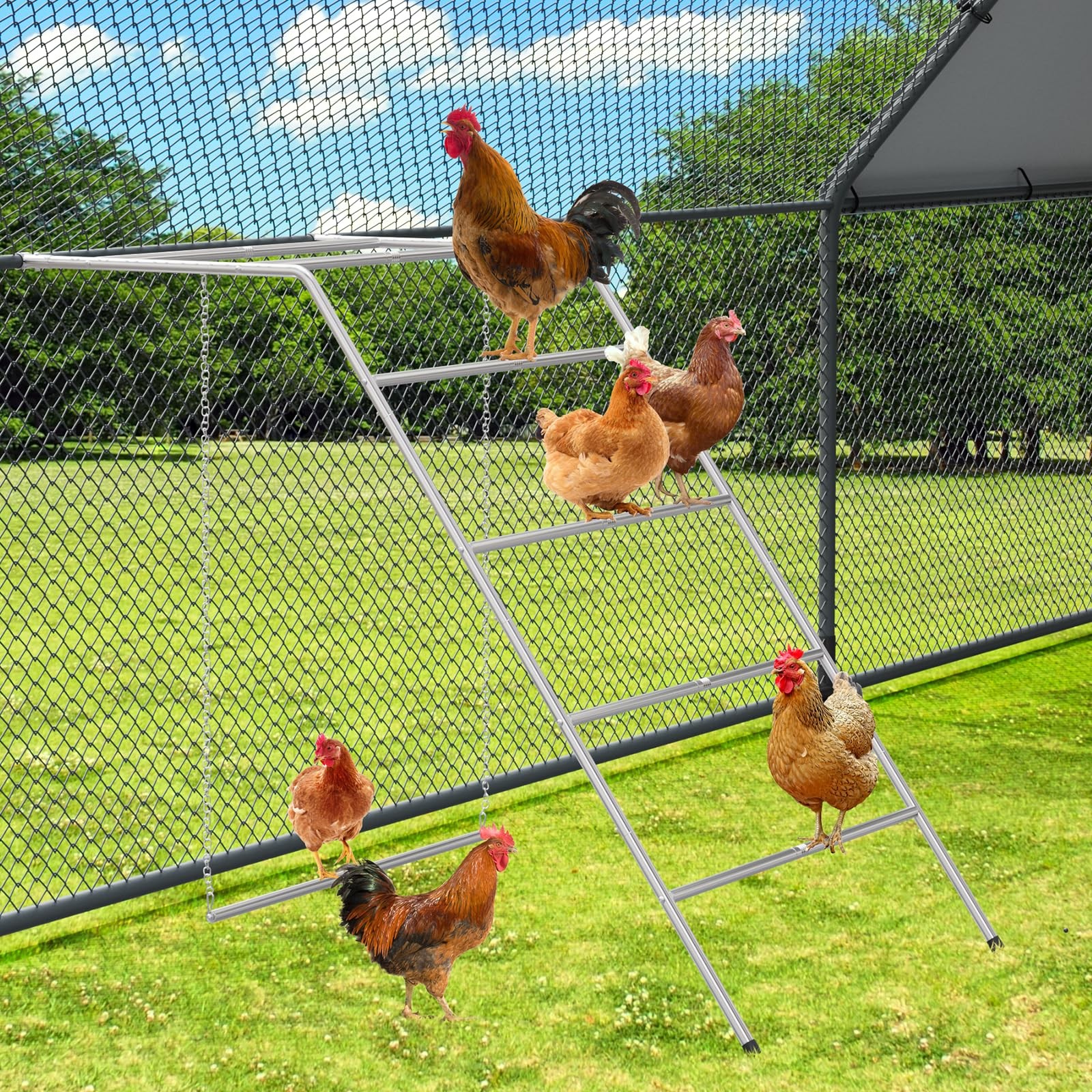 Chicken Coop Perches with Swing, Metal Chicken Roosting Bars, Chicken Run Toy...