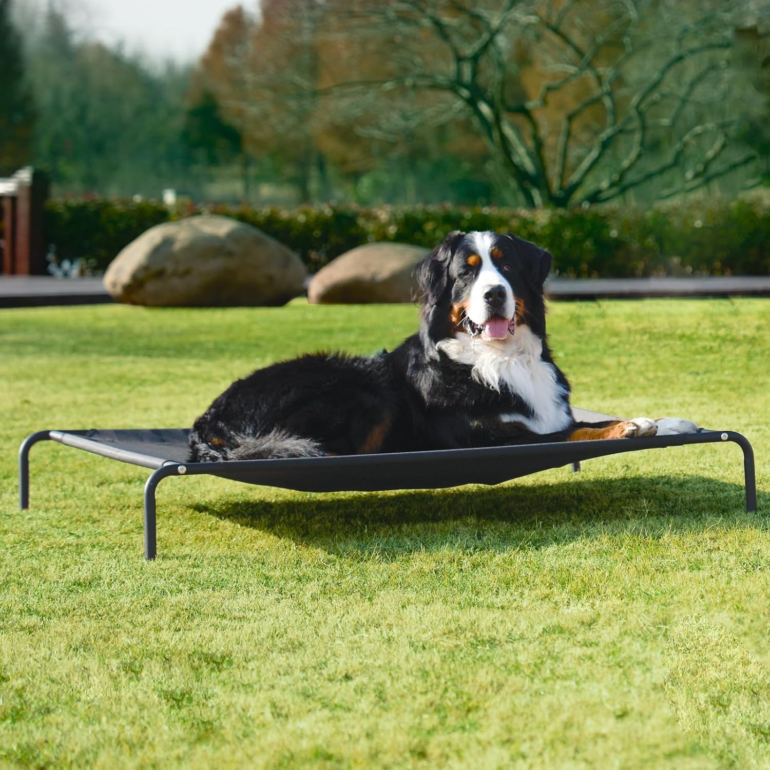 EHEYCIGA XXL Elevated Dog Cot Bed, Raised Outdoor Dog Hammock for Giant Jumbo