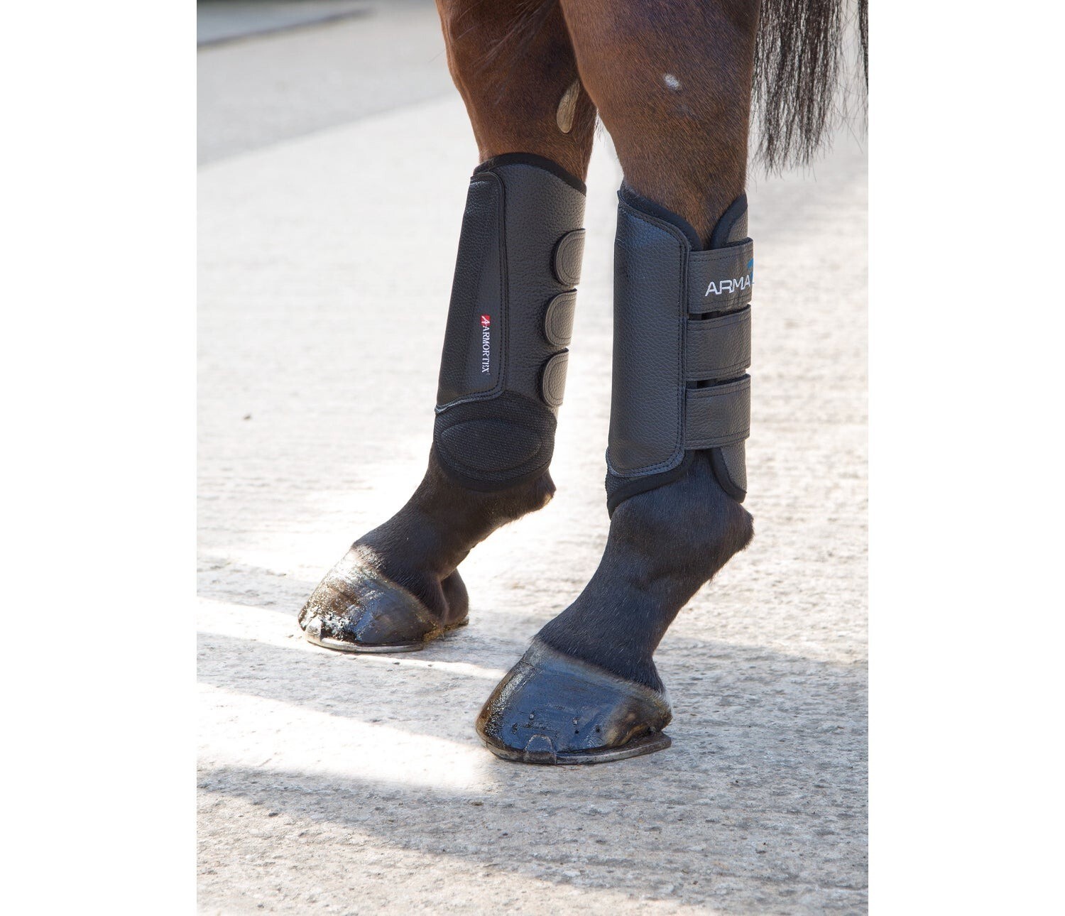 Shires Arma Cross Country Boots Hind Black Full Size