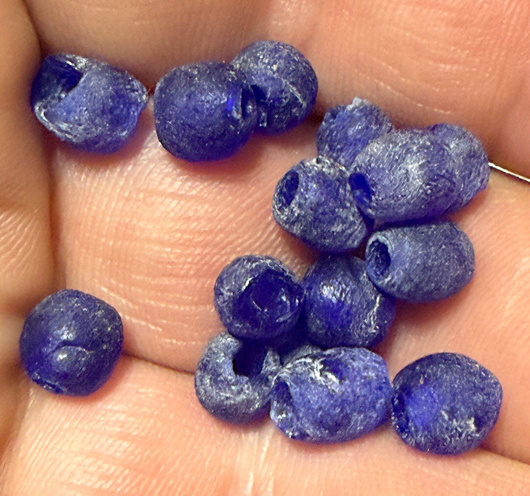 (10) Old Huron Indian Venetian Cobalt Blue Glass Trade Beads Fur Trade Era