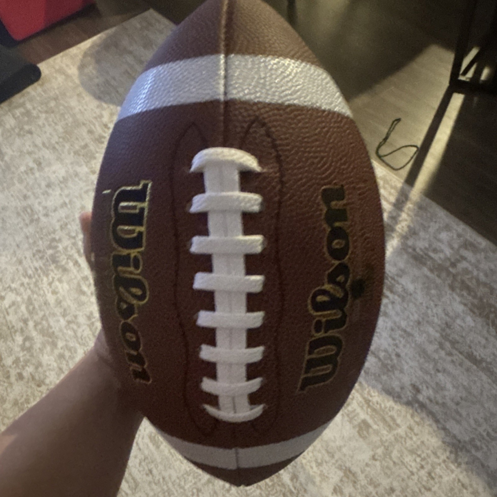 Wilson TDY Football New Football with Free Shipping