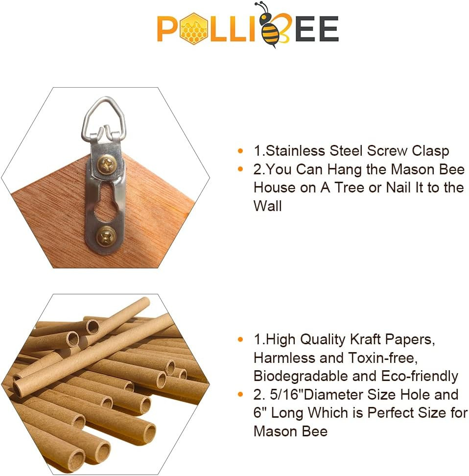 Mason Bee House - Handmade Natural Wooden Bee Hive Coated with Wax for Water-Pro