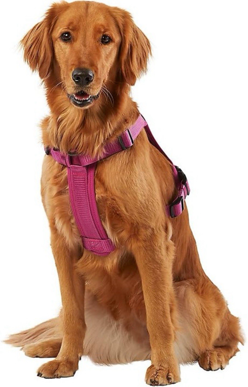 KONG Ultra Durable Waste Bag Dog Harness - Large, Pink with Dispenser