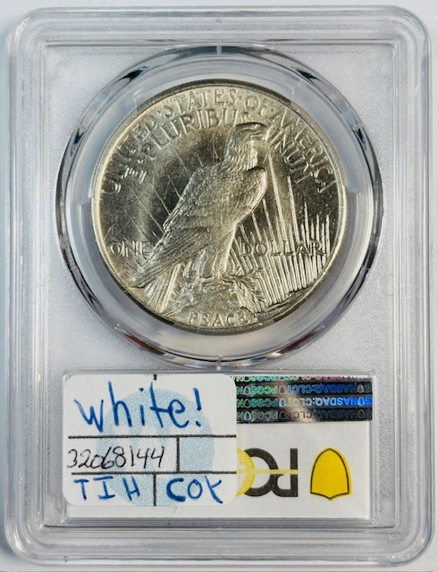 1921 P Peace Dollar PCGS AU-58 High Relief White!