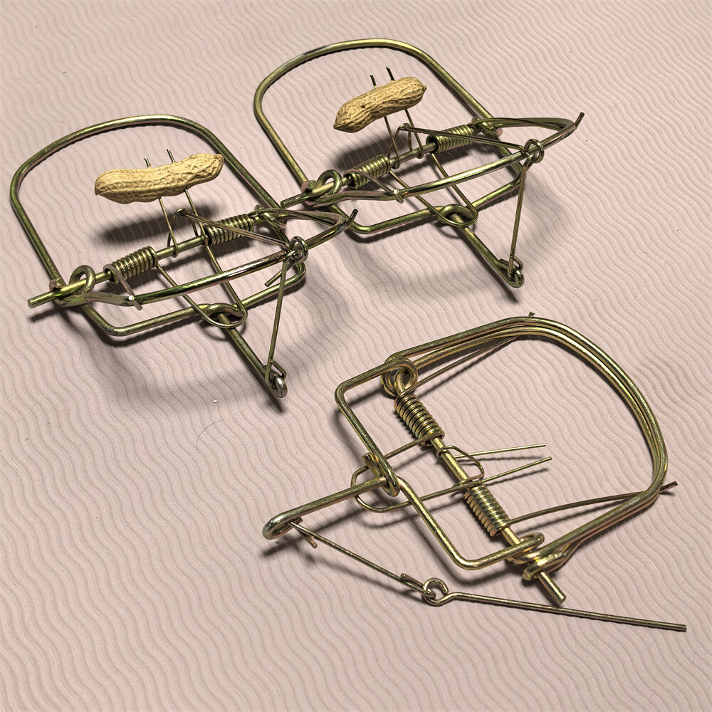 3pcs Small Animals Catch Traps Mouse Trap Spring Trapt Rodent for Rat Rabbit