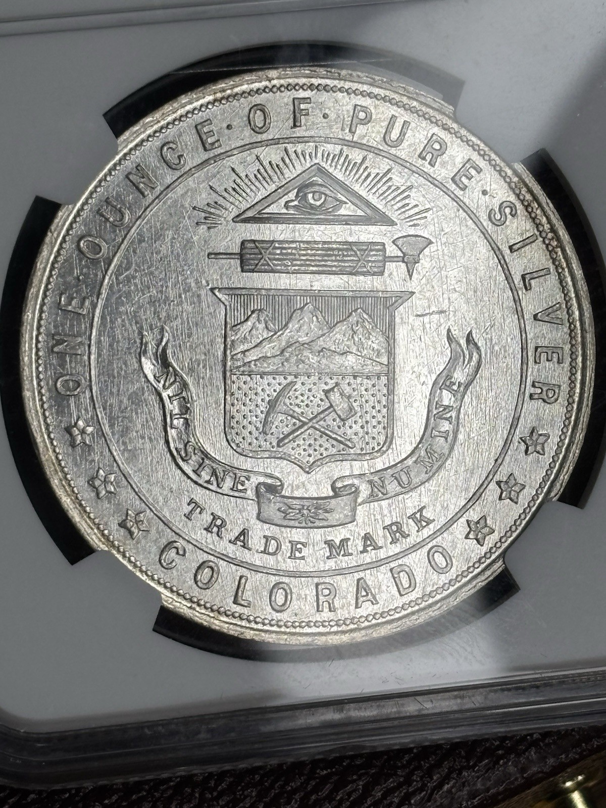1933 Century of Progress HK-870 Silver So-Called Dollar NGC MS64