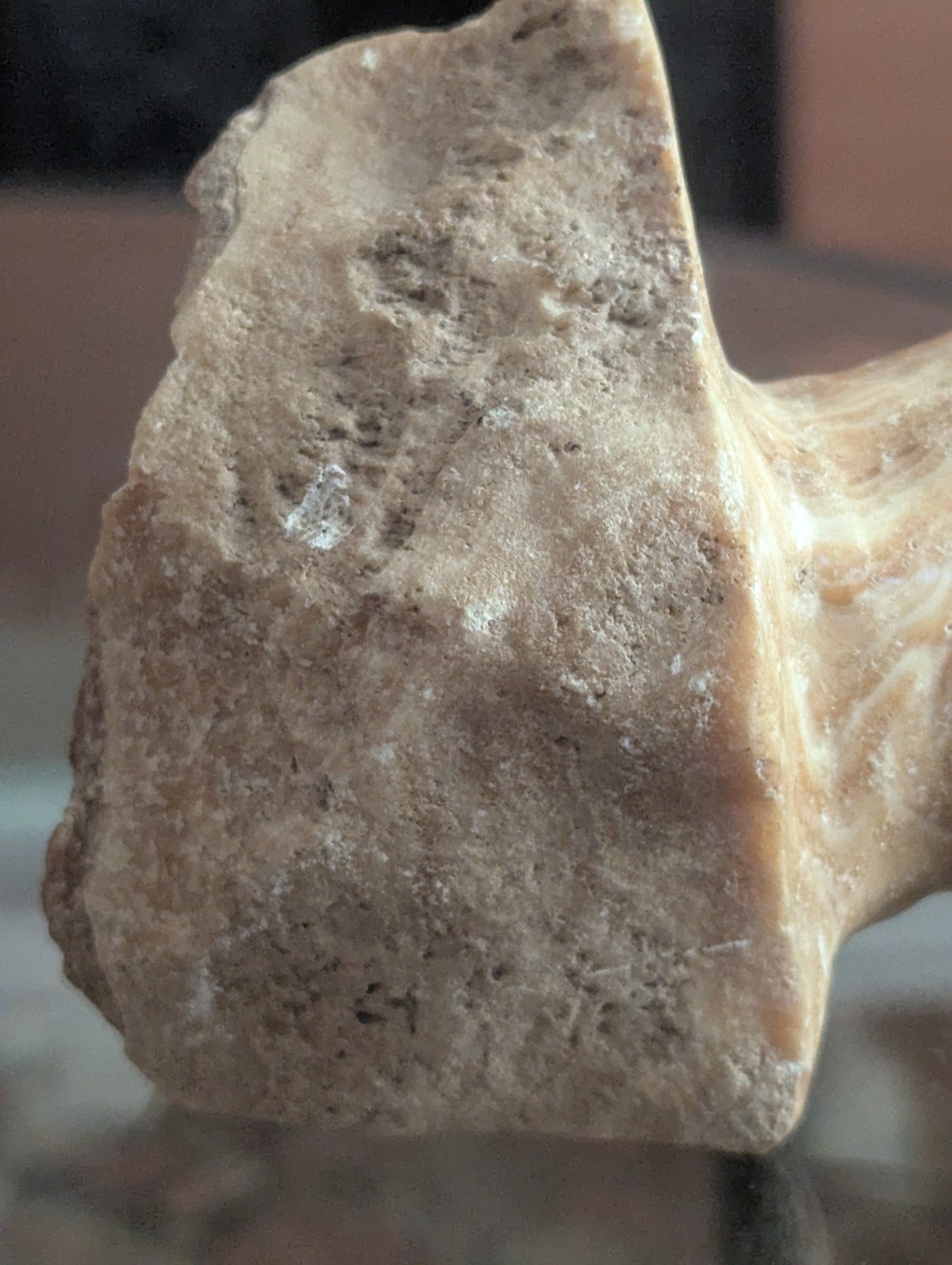 Vintage Carved Stone Panther Puma Cat Statue Figurine Mountain Lion Natural Art