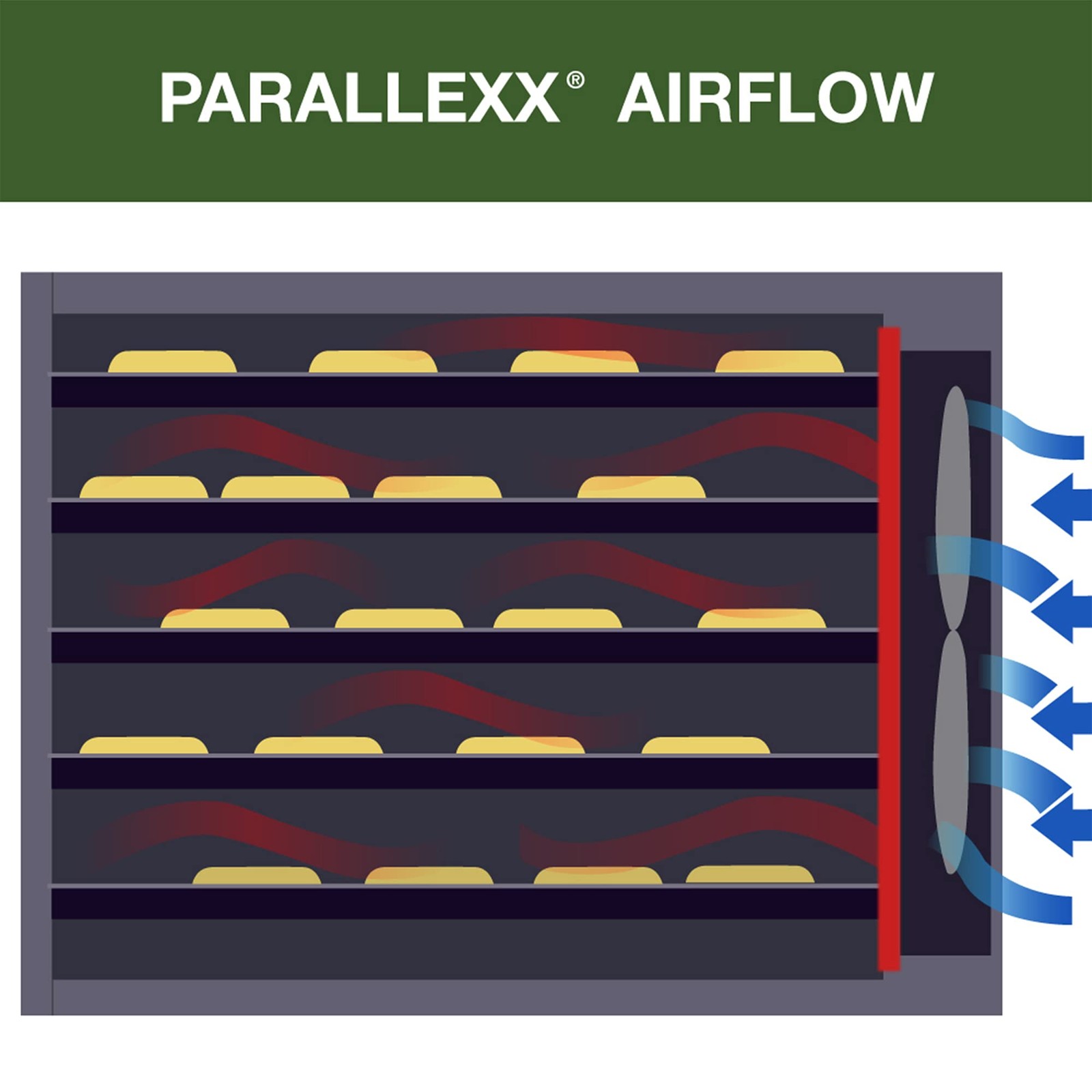 Excalibur 9-Tray Deluxe Dehydrator, Black, 3900B