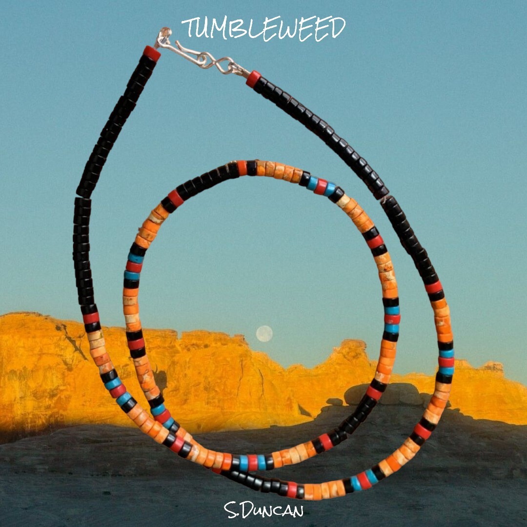 Native American Heishi Necklace