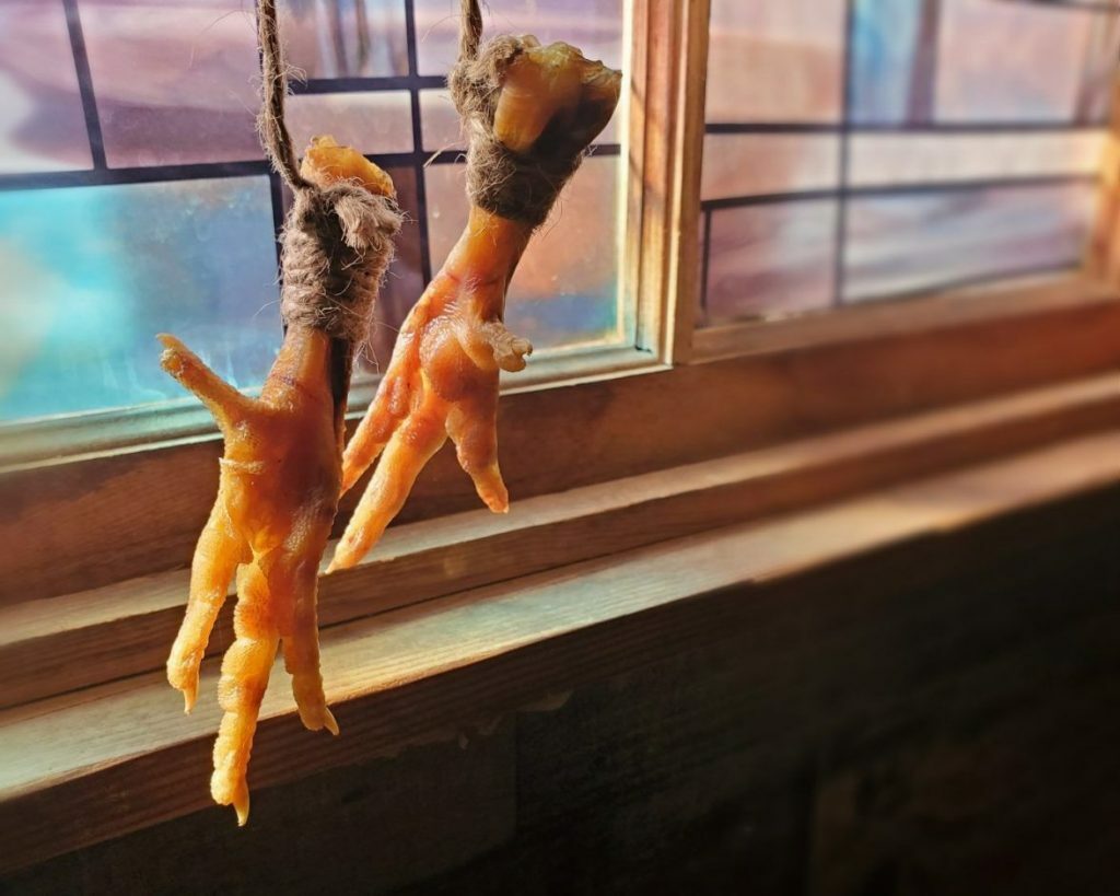 Chicken Feet, Luck Charm, Voodoo Protection, Gallus Domesticus, Oddities