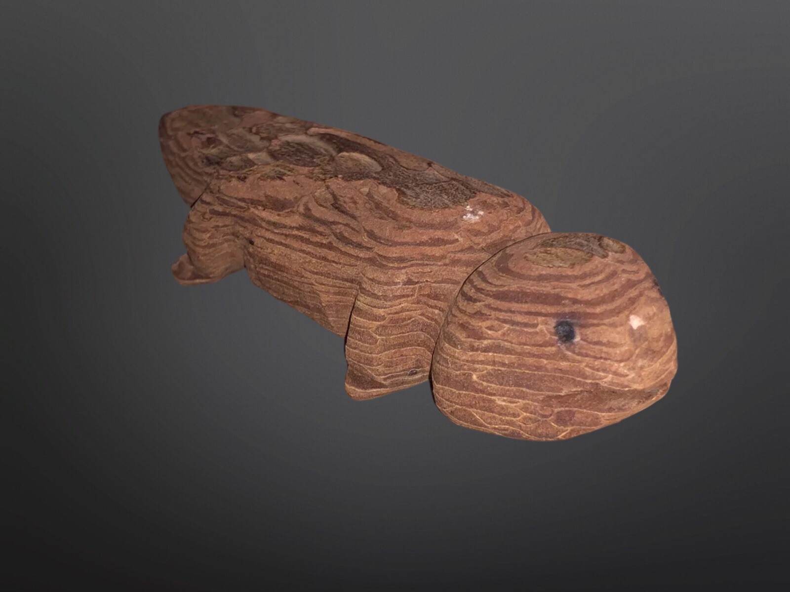 Circa 1910 Native American Tarahumara Carved Wood Lizard Fetish