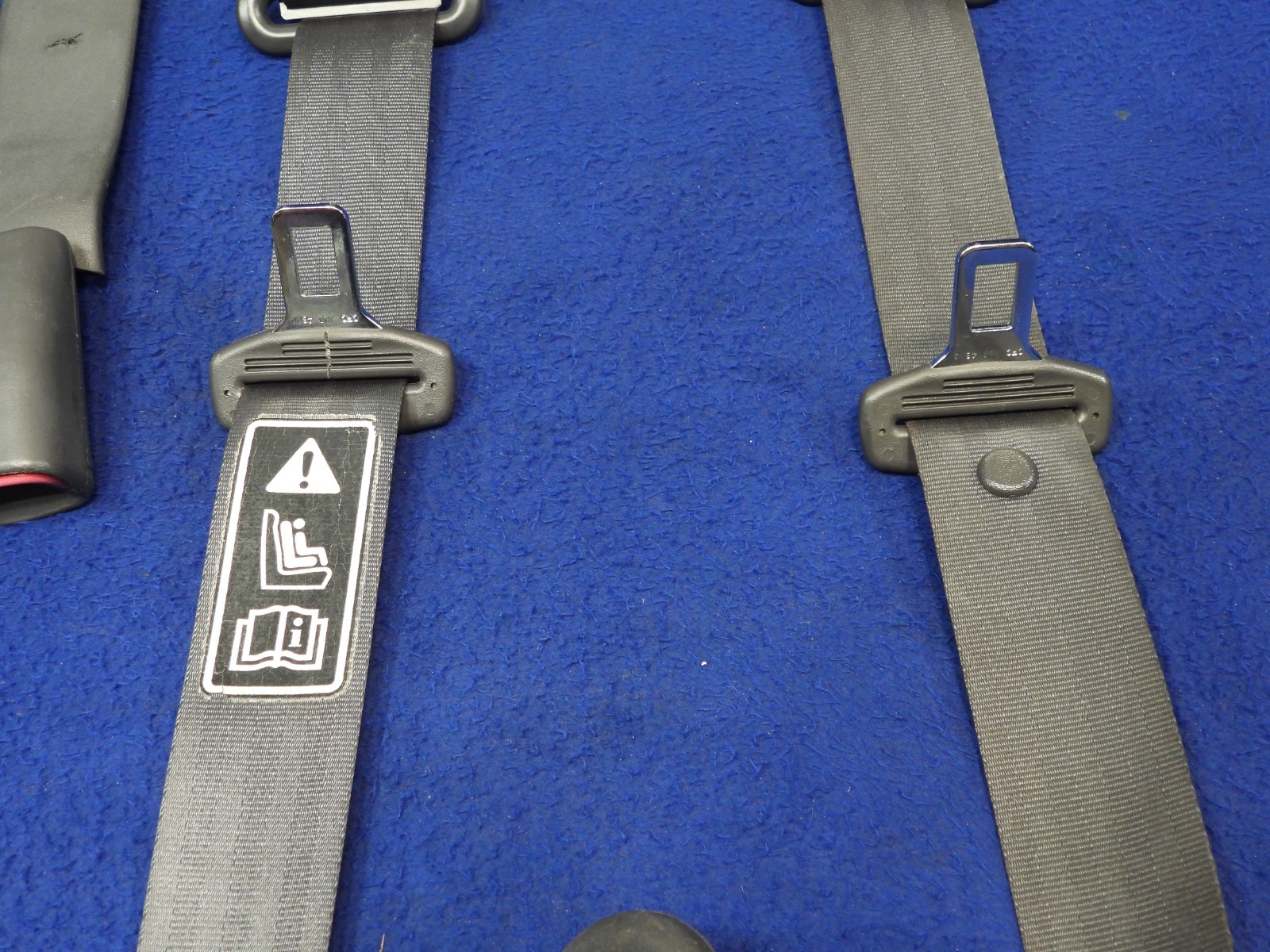 01 2001 Ford Mustang DK Charcoal Coupe Seatbelt Seatbelts OEM B64