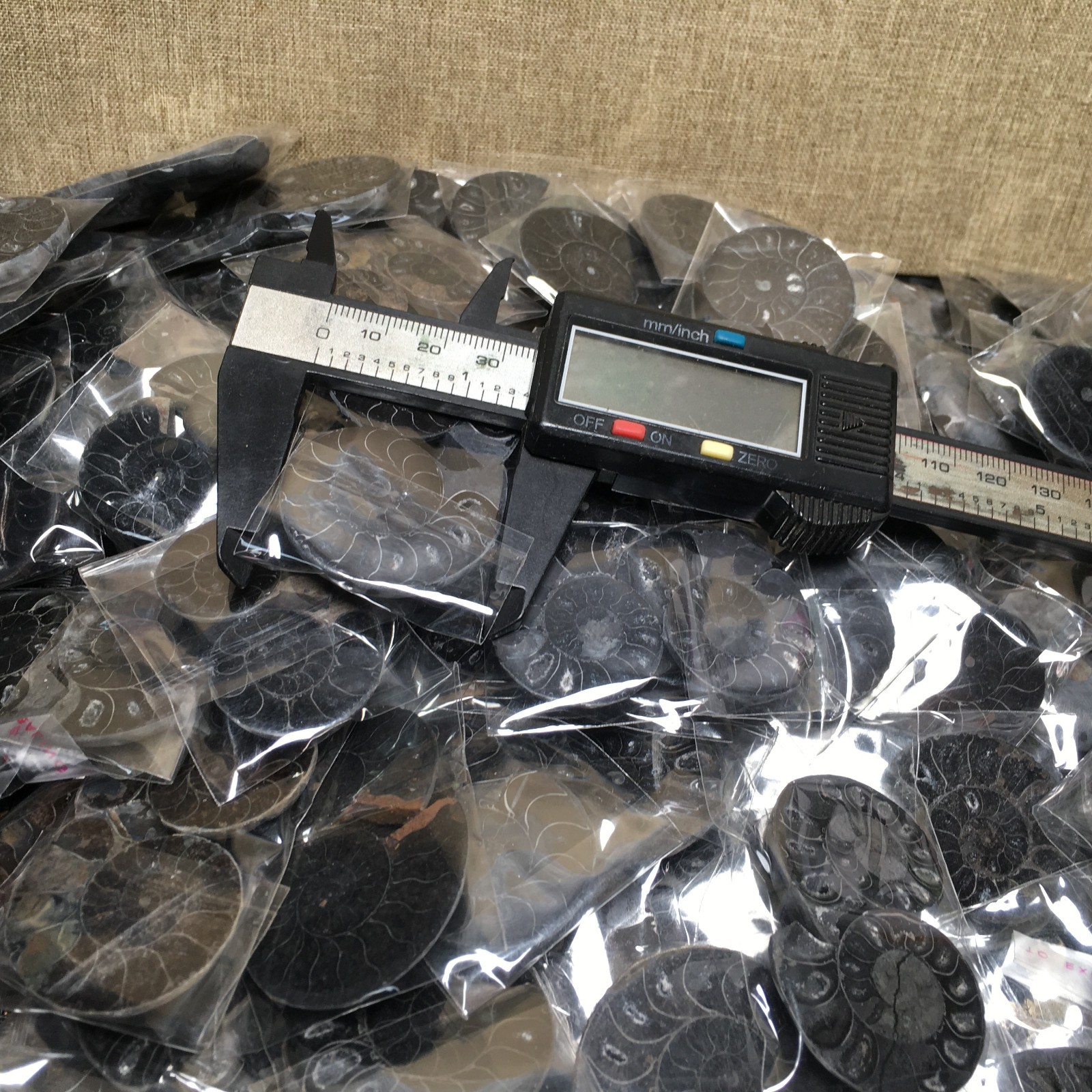 10 Pairs of Split black Ammonite Specimen Shell Healing