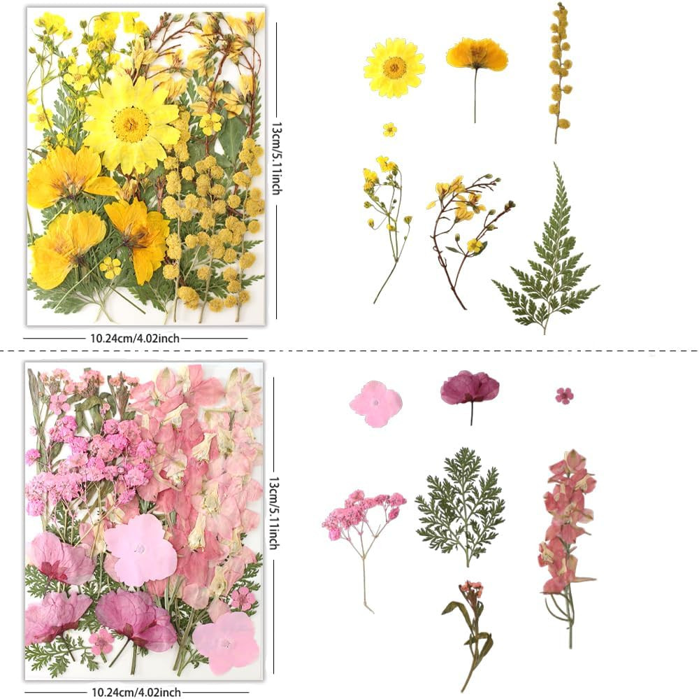 80Pcs Pressed Flowers, Dried Flowers Natural Pressed Flowers Bulk for Resin Mold