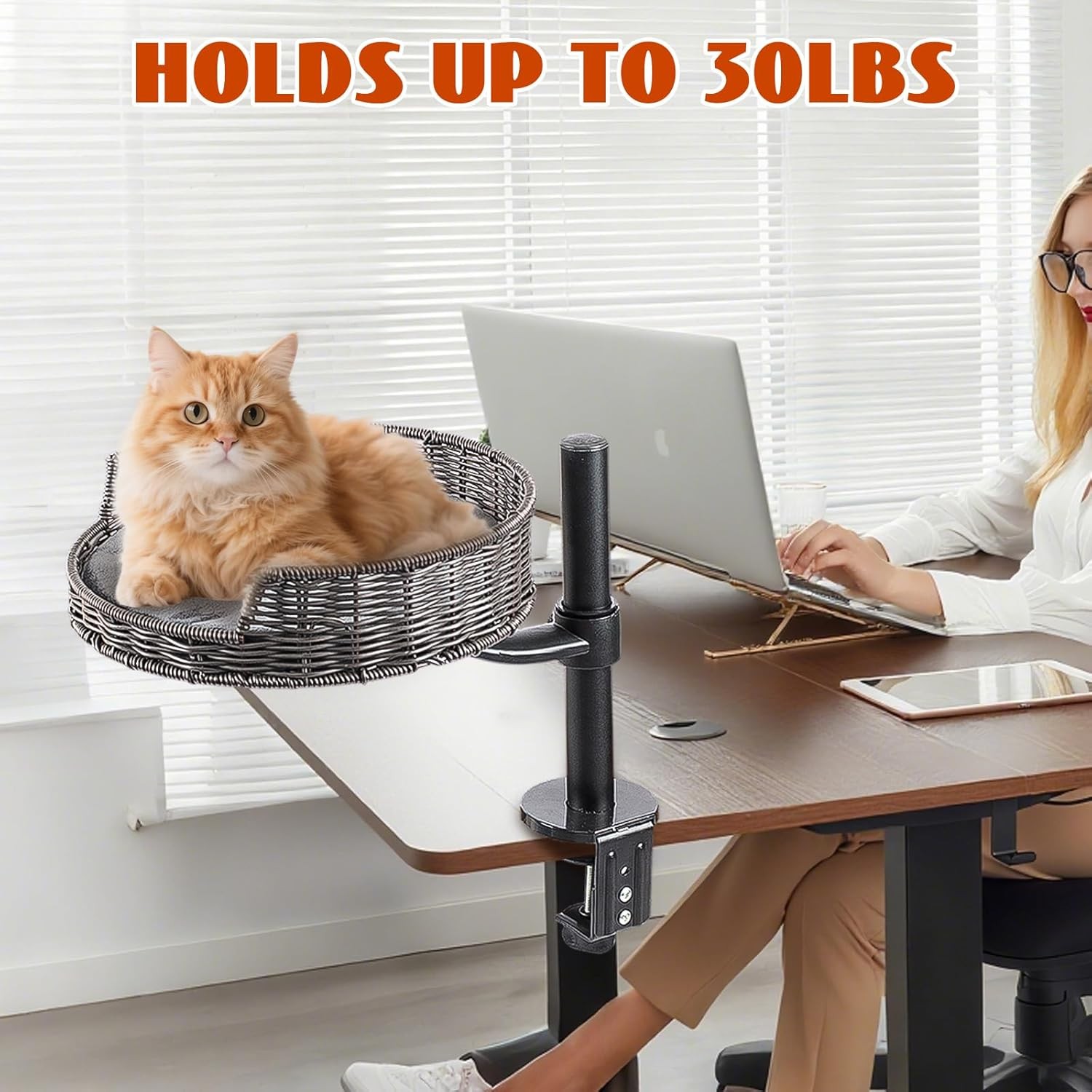 Indoor Elevated Cat Desk Bed Rotation Mounted Perch Adjustable for Office Home
