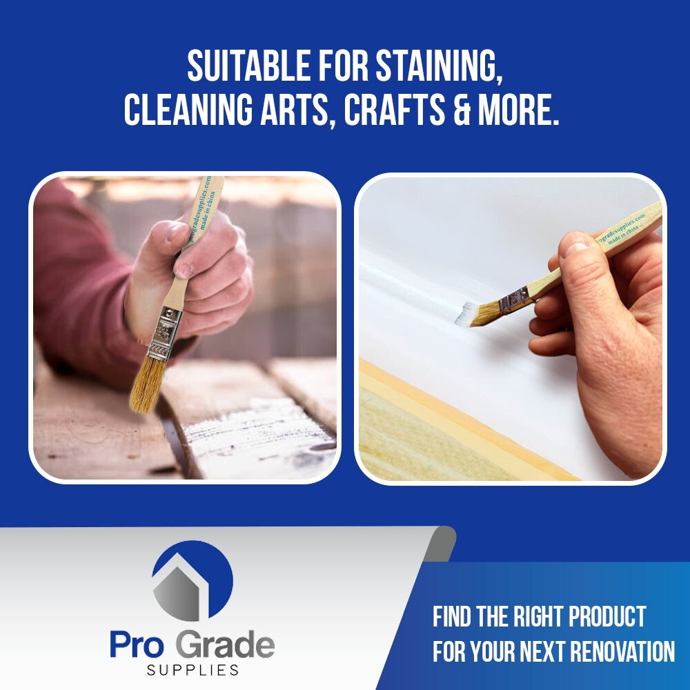 36 Pk- 1/2 inch Chip Paint Brushes for Paint, Stains,Varnishes,Glues,Gesso