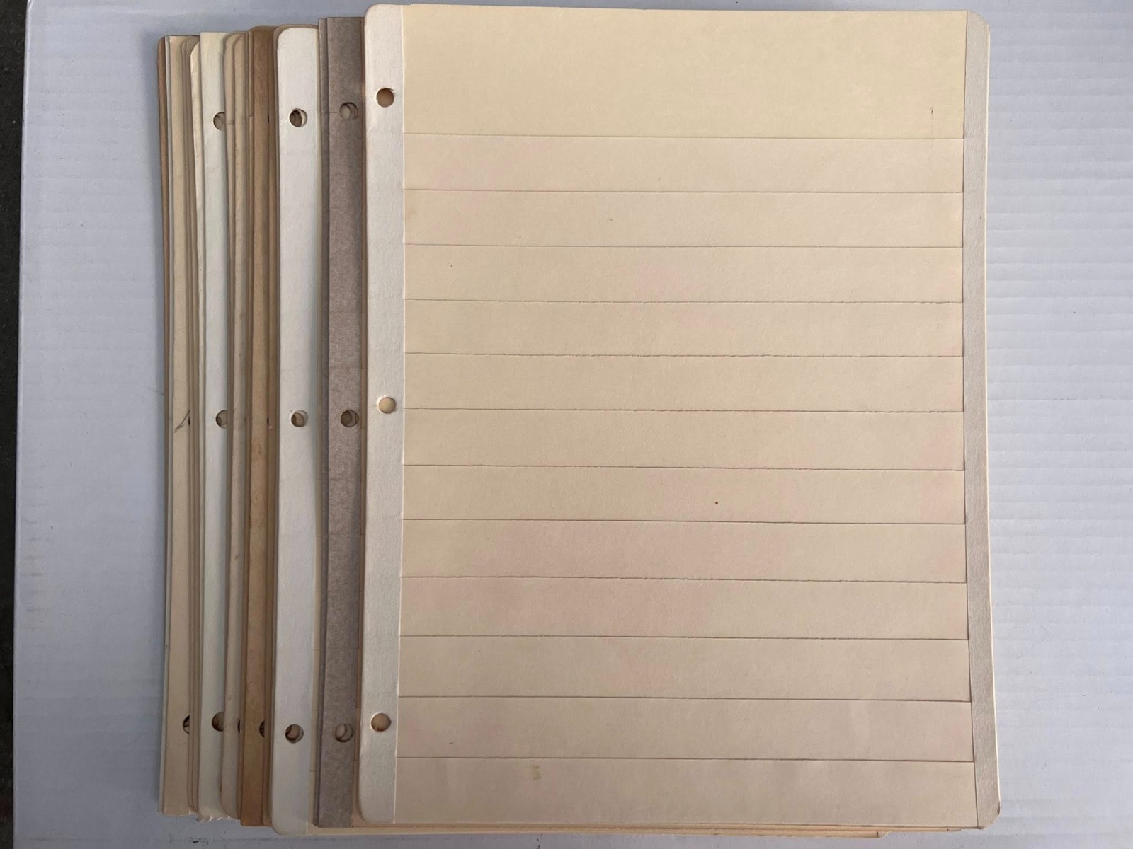 Pack of 20 Manila 12 Row Stock-pages for Standard 3-Ring Binders (No marks)