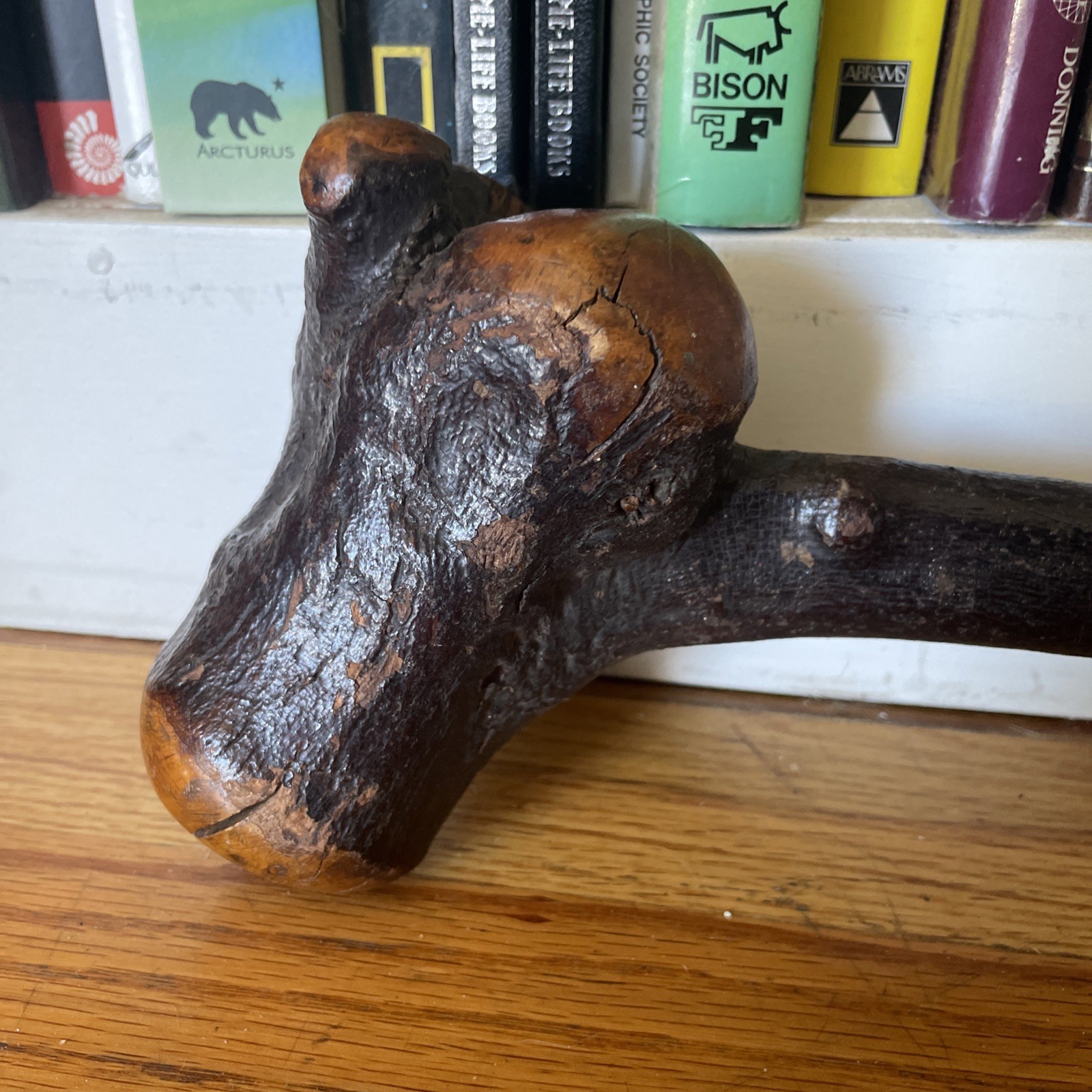 Native American Indian Burl Wood War Club Antique Rare 19” Artifact Weapon