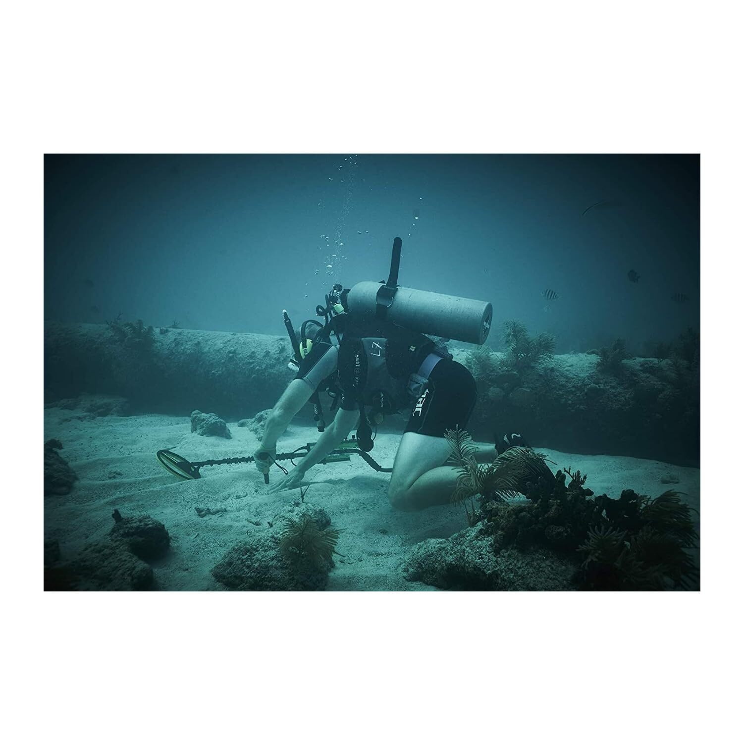 Minelab X-Terra Pro Waterproof Metal Detector Bundle with Case and Pro-Find 15 P