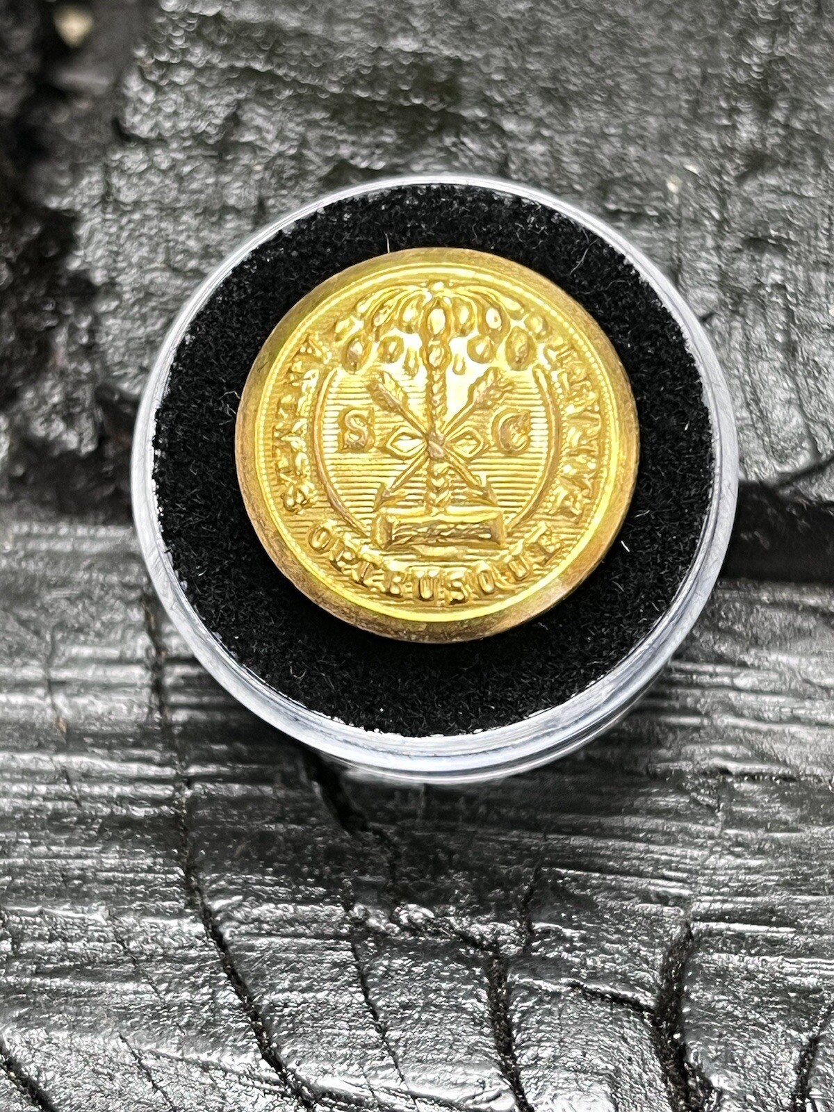 Old Rare Vintage Antique War Relic South Carolina Button Free Display Case