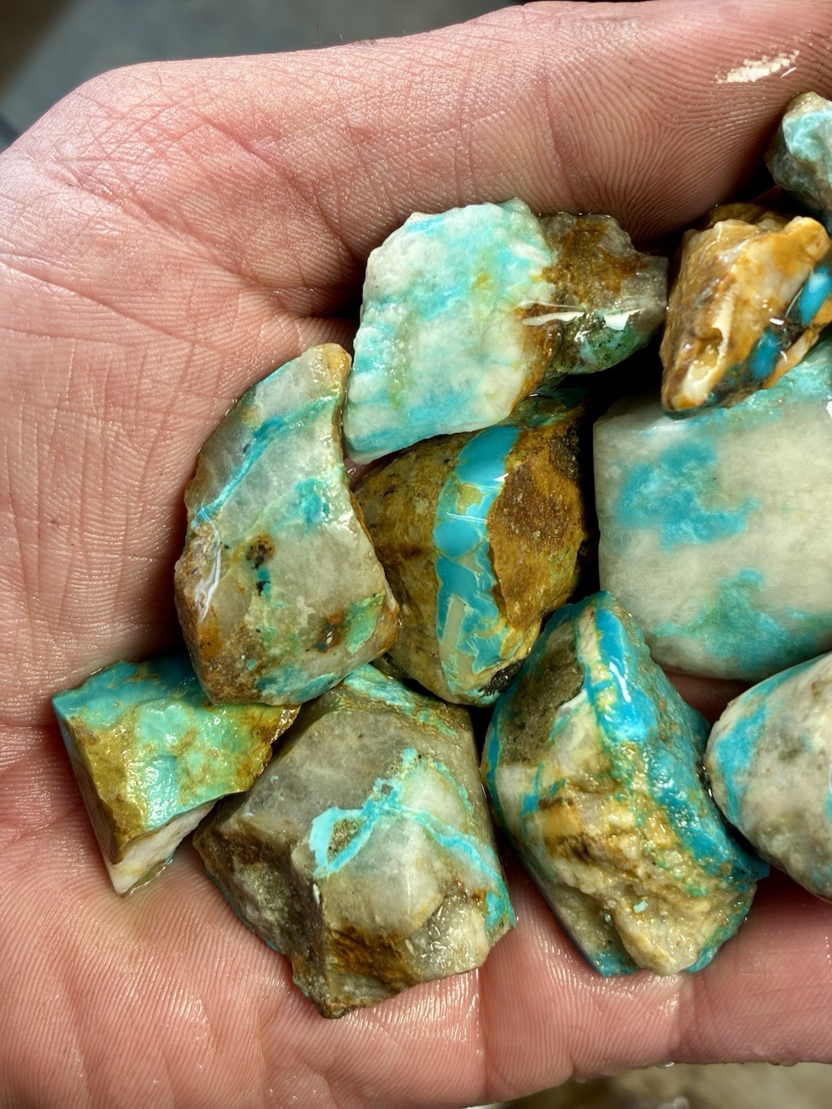 1 Lb of Skinny Turquoise Mountain Nugs! Now Available Again! ￼