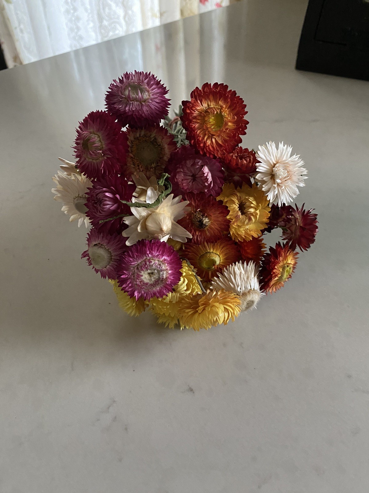 Beautiful STRAWFLOWERS Mix Assorted Bunch BOUQUET Bundle DRIED Flowers USA Auc#2