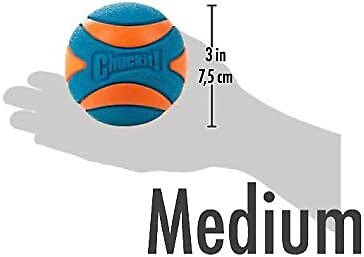 Chuckit Ultra Squeaker Ball Durable High Bounce Chewable Dog Toy Medium 2pack
