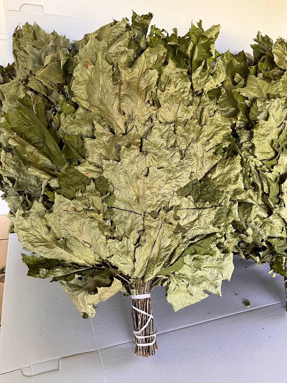 12 Birch brooms NEW SEASON 2025 sauna banya venik Eiche whisks eco Ukrainian